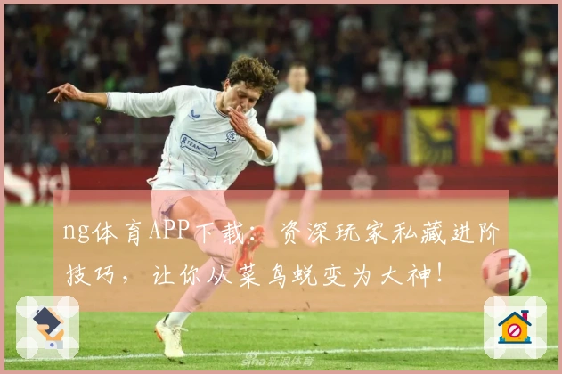 ng体育APP下载：资深玩家私藏进阶技巧，让你从菜鸟蜕变为大神！