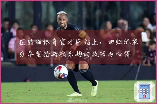 在熊猫体育官方网站上，回归玩家分享重拾游戏乐趣的技巧与心得