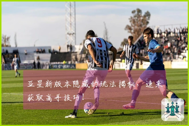 亚星新版本隐藏的玩法揭秘，速来获取高手技巧！