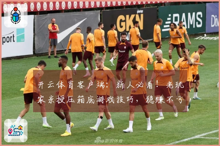 开云体育客户端：新人必看！老玩家亲授压箱底游戏技巧，稳赚不亏的套路你也能学！